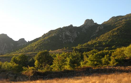 Montagne du Caroux