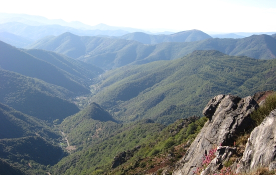 Point of view from arboretum of Mont Aigoual