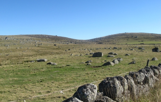 Murets de pierre de granit délimitant les prairies