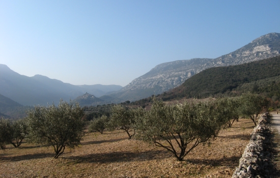 Monts de St Guilhem le Désert