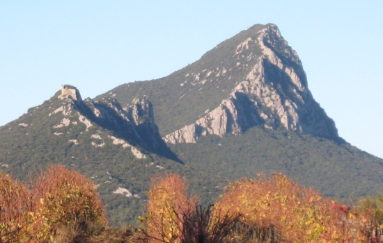 Le Pic St Loup, seigneur des garrigues