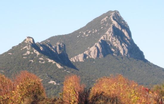 Le Pic St Loup, seigneur des garrigues