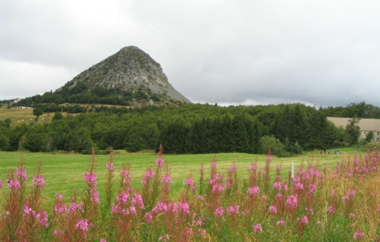 Mont Gerbier de Jonc