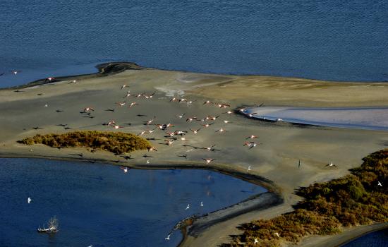 La petite Camargue, départ de la randonnée à vélo