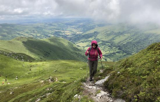 Dans l'ascension du Puy de Peyre Arse