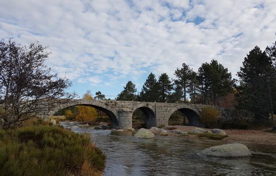 Le Pont du Tarn, sur la draille du Languedoc