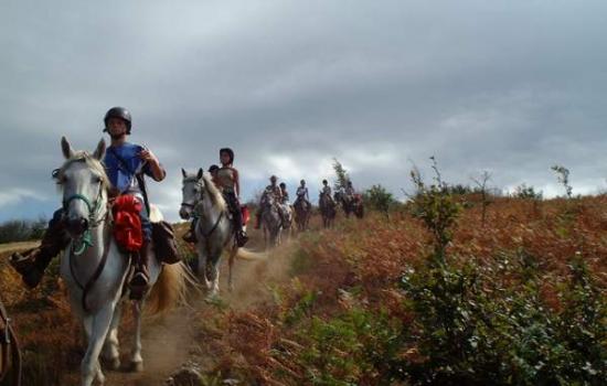 Rando cheval sur le causse ou les gorges du Tarn