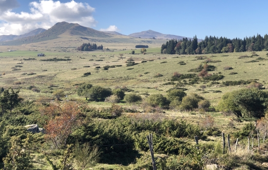 Plateau de Courbanges