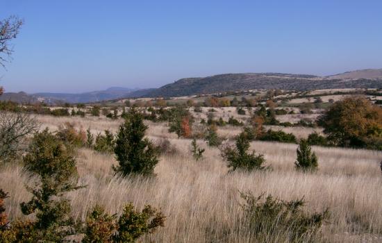 La Causse de Sauveterre