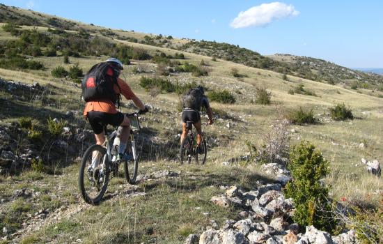 Causses et Cévennes, terre de pastoralisme