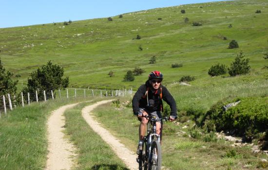 Sur le massif du Mont Lozère