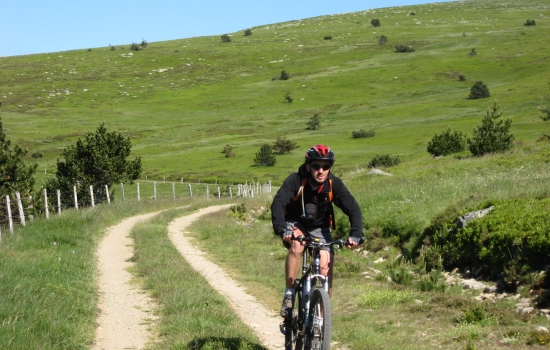 Mont Lozere in National park of Cévennes