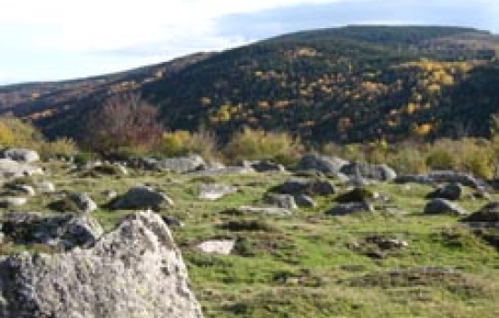 Beauté de l'automne en Aubrac