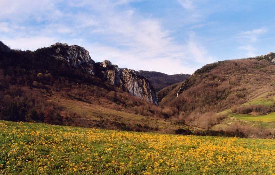 Puech du Bugarach