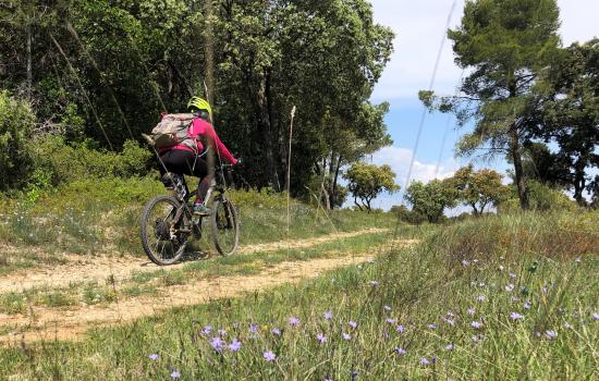 GTH, VTT à travers la garrigue