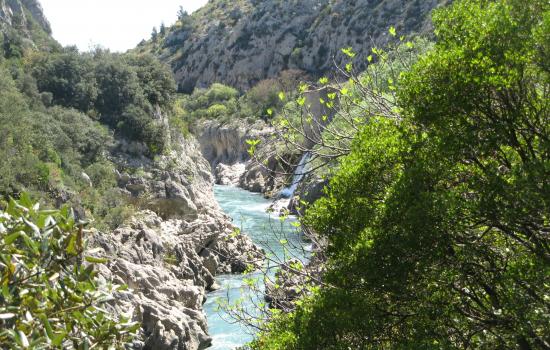 Le fleuve Hérault qui naît dans les Cévennes