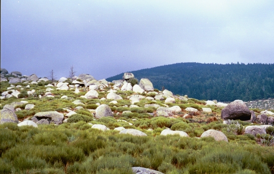 Chaos rocheux du Mont Lozère