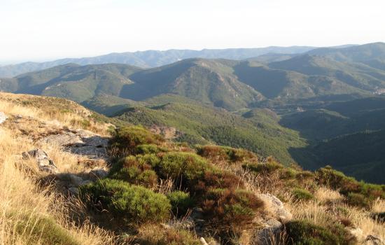 lumière de fin de journée sur les Monts d'Orb en Haut Languedoc