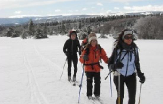 Nordic cross-country skiing to the discovery of the Massif Central's high lands