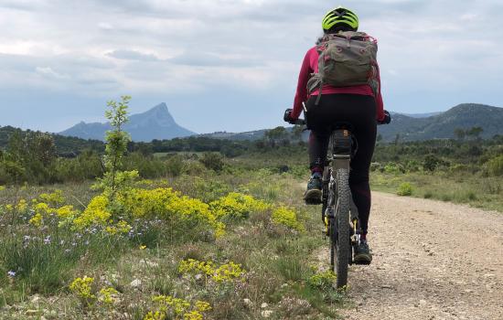 GTH, le Pic St Loup en toile de fond