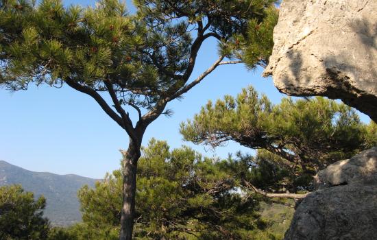 Passage dans les Monts de St Guilhem le Désert