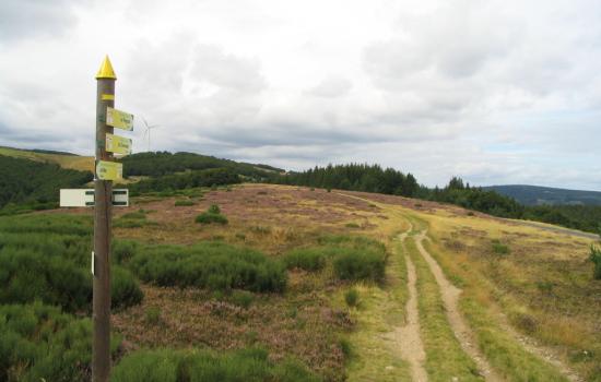 Sentiers de randonnée dans le Parc Naturel régional des Monts d'Ardèche