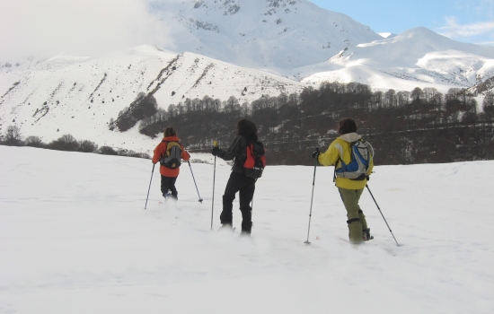 Joie de la poudreuse