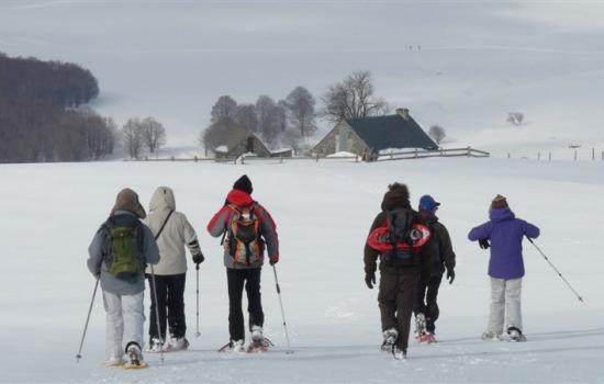 Snowshoe hiking with a local mountain guide