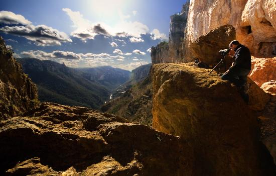 Birdwatching in the Cévennes