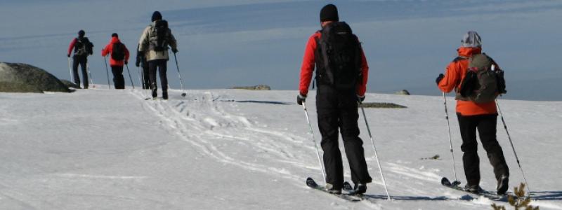 winter nature languedoc activitie winter nature languedoc activitie