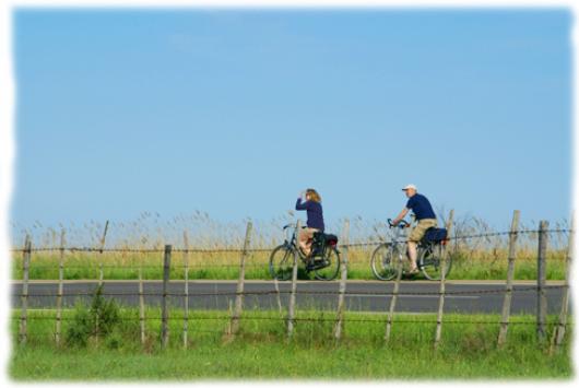 Randonnée vélo à travers le Parc Naturel Régional de Camargue