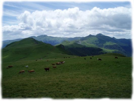 Auvergne, hautes terres d'élevage Les alpages des Monts du Cantal au coeur des volcans d'Auvergne