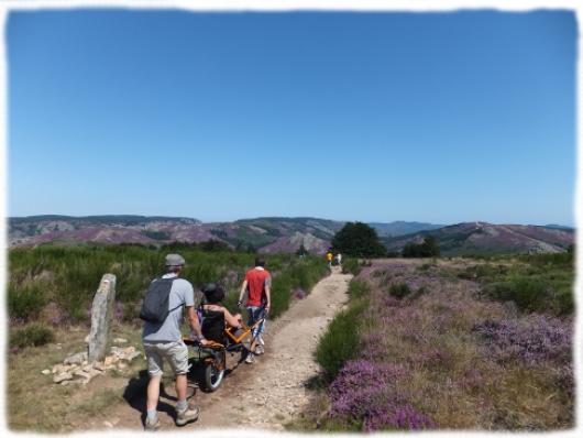 Rando joelette Caroux Haut Languedoc