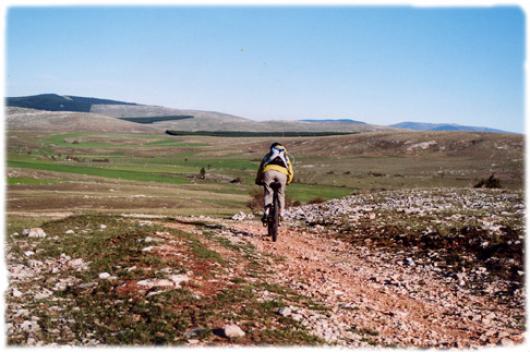 Immensité du causse