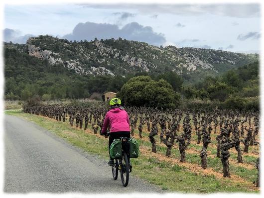 Cyclotourisme en Minervois à la découverte du vignoble