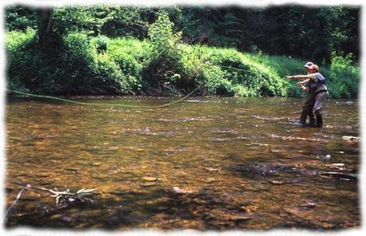 Pêche à la mouche - Stages Haut Languedoc et Lozère - Massif Central