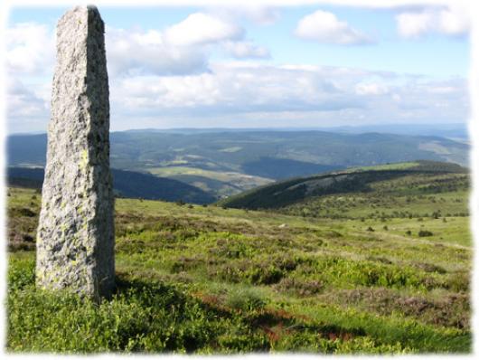 En route pour le sommet de Finiels Sur les flancs du Mont Lozère