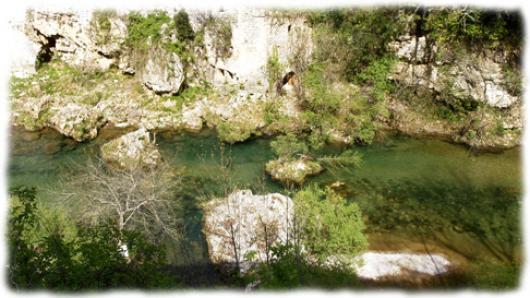 La Vis, belle rivière à truite