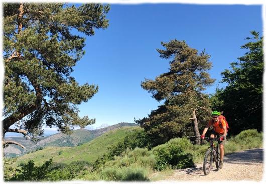 Grands espaces Causses et Cevennes