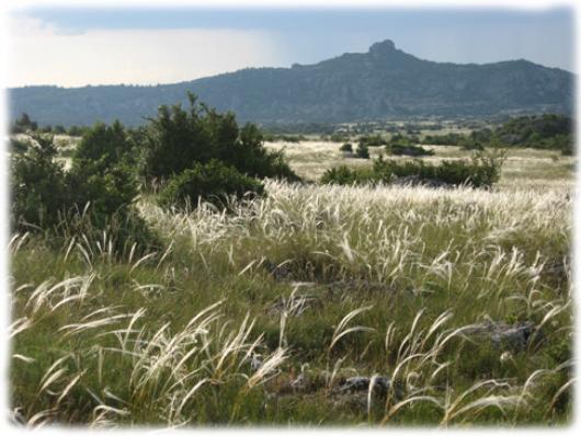 Experience Larzac 