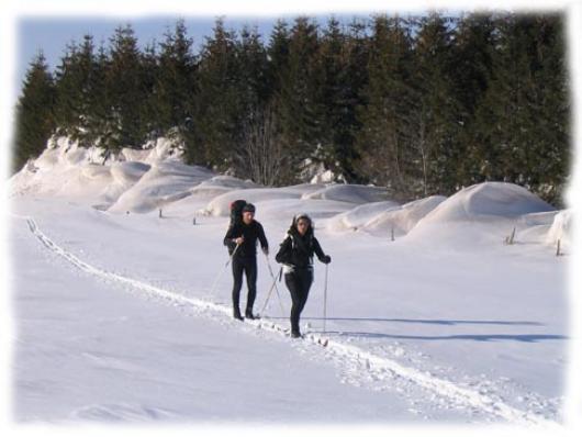 Faire sa trace à la hauteur d'Aubrac L'Aubrac et ses vastes etendues, paradis du ski de randonnee nordique