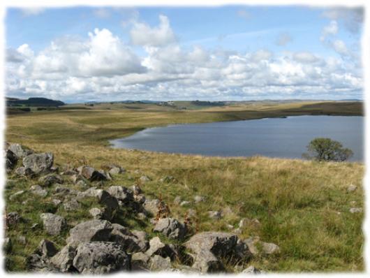 Lake St Andéol - Aubrac