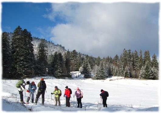 Randonnée raquettes guidée dans les Monts du Cantal