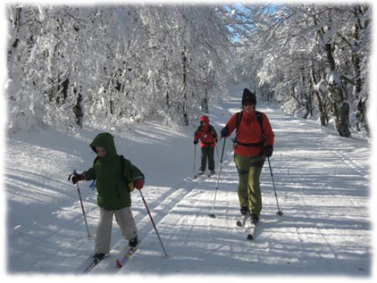 Découvrir le ski de fond en altitude