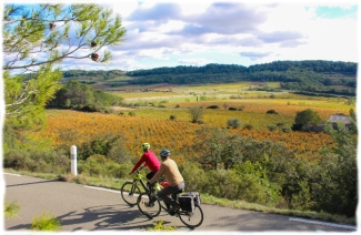 Pédaler à travers le vignoble languedocien