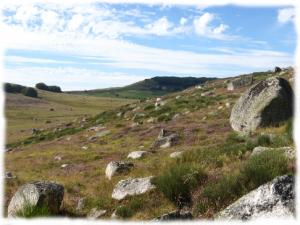 Randonnee entre prairies et blocs de granit en Aubrac