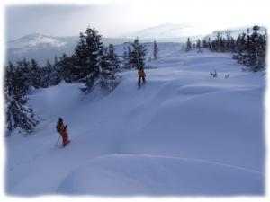 Le massif du Mézenc présente une grande variété de profils adaptés à la pratique de la raquettes à neige