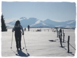 Rai nordique sur les hautes terres d'Auvergne