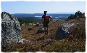 Invitation à l'évasion sur les chemins et sentiers sauvages de Margeride